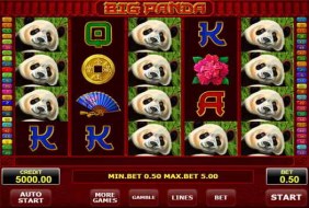 Big Panda  -  Amatic